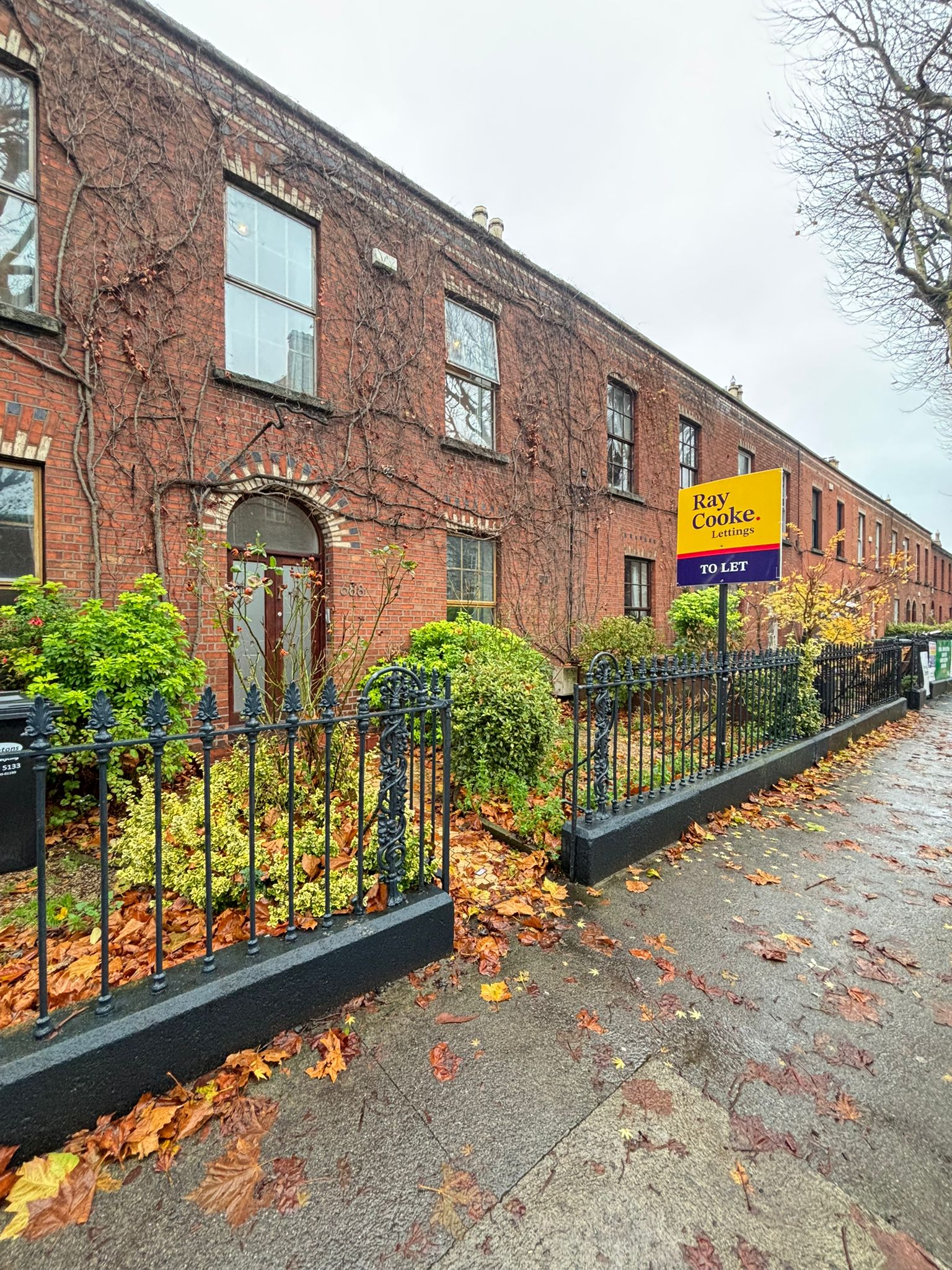 WhatsApp Image 2025-11-19 at 16.01.19 (2)